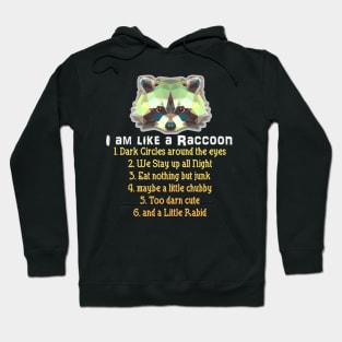 I am Like a Raccoon Hoodie